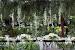 Woodland Theme Wedding Dress