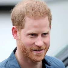 Prince Harry Loved the "Celebrity-Style Attention" He Received Landing in  Japan