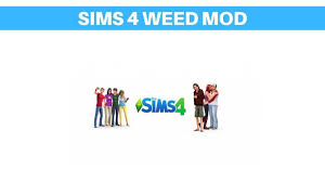 Documents > electronic arts > the sims 4 > mods. Sims 4 Weed Mod Download Latest 2021