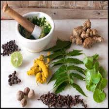 Using hair growth oil from saini herb will give your herbal treatment for hair loss a good start. 10 Best Ayurvedic And Natural Hair Loss Treatments You Can Try