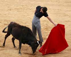 El Dandy y José Arcila, listos para sus próximos compromisos | mundotoro.com