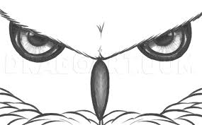 How To Draw Owl Eyes Draw An Owl Face Step By Step Drawing Guide By Dawn Dragoart Com This video is suitable for beginners and follows the. how to draw owl eyes draw an owl face