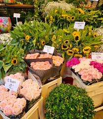 Image result for tbn:AWzYY9q209rRYM::rho0ofa.jeeran.com/24947_ABEER__ROSE.jpg