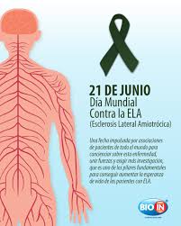 La ela es considerada como una enfermedad rara, a pesar de que se trata de la tercera enfermedad neurodegenerativa en incidencia, tras el alzheimer y otras. Uzivatel Bio In Ecuador Na Twitteru La Esclerosis Lateral Amiotrofica Ela Es Una Enfermedad Degenerativa Del Sistema Nervioso Es La Tercera Enfermedad Neurodegenerativa Mas Frecuente Tras La Demencia Y La Enfermedad De
