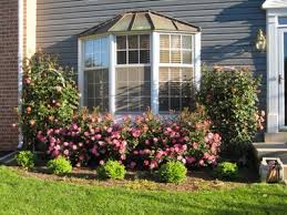 10 rose garden design ideas michelle slatalla april 21, 2021 there are more ways to use roses in a garden than there are roses—and as you know, there are many thousands of kinds of climbing, rambling, heirloom, floribunda, hybrid tea, and miniature roses. Star Roses Plants Backyard Garden Design Garden Layout House Landscape