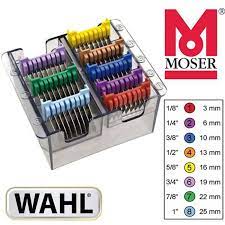 Epingle Sur Tondre Son Chien