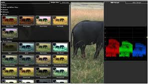 6 free effects for after effects & premiere. Top 15 Adobe Premiere Plugins In 2020 Free Download
