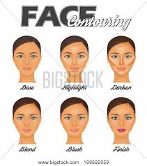 how make perfect face vector photo free trial bigstock