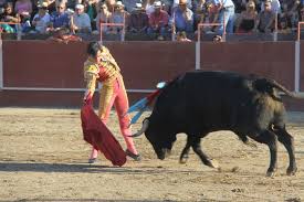 Sin ideas y con fallo a espadas | Noticias Diario de Ávila