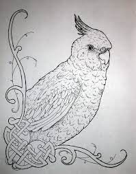 They are sexually dimorphic, which means that their coloring is different between males and females. Pin On Coloring Pages For Adults