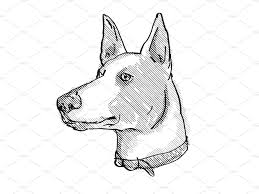 American Black And White Hound Dog Ibizan Hound Dog Breed Cartoon Retro Con Immagini