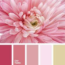 Traditionally, pink evokes notions of sensitivity, femininity, sweetness, and romance. Warm Pink Shades Color Palette Ideas