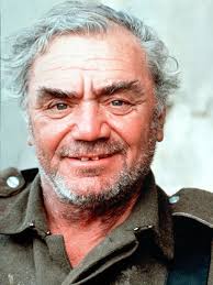 Resultado de imagem para Ernest Borgnine
