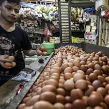 More images for telur ayam premium » Harga Telur Ayam Anjlok Parah Peternak Salahkan Pembatasan Sosial Bisnis Liputan6 Com