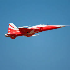 The swiss federal department of defence, civil protection and sport has tweeted that the pilot, who managed to eject from the plane, is unhurt. Freewing Rc Airplane F5 N Tiger 80mm Jet Kit With Servos Jet Kit Edf Jet Kitsrc Airplane Aliexpress