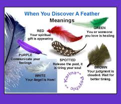 Meanings Of Feathers Brown White Green And Spotted Feathers From Your Angel Feather Meaning Finding Feathers Feather Magic