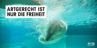 Reines lactoferrin cln von l'ferrin artgerecht in premium qualität 120 kapseln. Peta Deutschland On Twitter Wer Hat Uns Das Recht Gegeben Wildtiere Einzufangen Sie Einzusperren Und Fur Unser Entertainment Zu Missbrauchen Artgerecht Ist Nur Die Freiheit Https T Co Aflao62vge