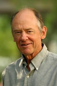 Imagine: What America Could Be in the 21st Century: Lamott, Anne,  Williamson, Marianne, Sohm, Joseph: 9780451204691: Books