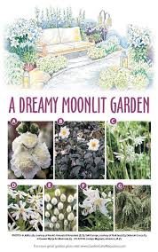 A Dreamy Moonlit Garden In 2020 Tuin Ontwerpplannen Bloem Tuinieren Groentetuin