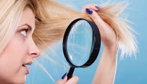 Hair responds differently to bleach, but anytime you are open up the pores of your strands to let chemicals oxidize the color that's in there, you can be sure whatever texture you once had will be. How To Bleach Hair Safely And Tips To Hydrate Your Hair After Bleaching