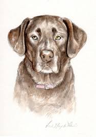Pin By Ilknur Arabaci On Artistry Custom Portrait Painting Watercolor Portrait Painting Watercolor Dog