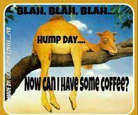 Geico hump day camel commercial happier than a camel on wednesday. Hump Day Camel Pictures Photos Images And Pics For Facebook Tumblr Pinterest And Twitter