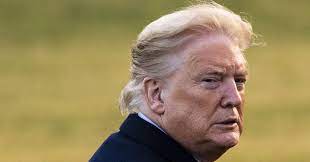 Why is donald trump's face orange? Trump Insists Real Photo Revealing His Fake Tan Is Fake