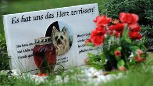 Werl Wo Werden Haustiere Beerdigt Grune Schlagen Tierfriedhof Vor Werl