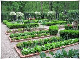 Templat desain kartu bisnis toko sayur nampan tangan sederhana. 84 Contoh Desain Taman Sayuran Paling Bagus