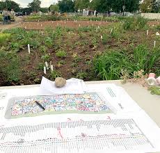 By roy diblik first published in 2008 1 edition. Planting A New Piet Oudolf Garden Lurie Garden