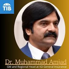 The Insurer Beemakar