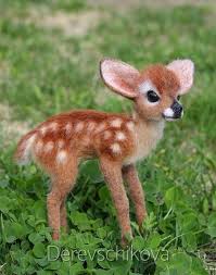 Shop This Pic From Lifeoncedarlane In 2020 Cute Wild Animals Baby Animals Super Cute Cute Baby Animals