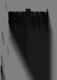 Image result for Neuracanthus decorus