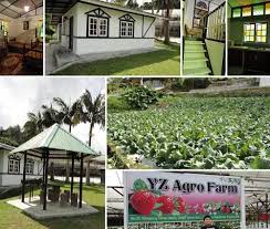 Taman sedia homestay is located in cameron highlands, pahang. Homestay Kampung Sedia Cameron Highlands Cari Homestay
