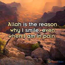 Pin On Islamic Quotes
