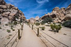 Hidden valley joshua tree trail. Best Joshua Tree Hikes For First Time Visitors