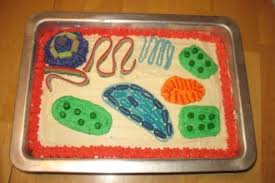 Images of plant cell project. Plant Cell Project For Study Biological Science Picture Directory Pulpbits Net