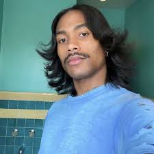 Saw someone describe Steve Lacy as the “Gen Z Prince” and thought that was  cute so I felt it fitting to do this album homage 🩵 One of my current favs  influenced