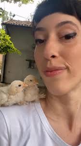 I would like to teach my chicks some tricks! but I don't know how to build  them. Is there anyone who teaches? Thanks a lot