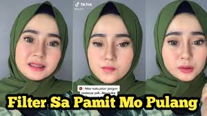 Maksud sa pamit mo pulang nova cummerata june 22, 2021 maksud sa pamit mo pulang. Cara Mendapatkan Filter Sa Pamit Mo Pulang Di Ig Filter Instagram Yang Viral Di Tiktok Youtube