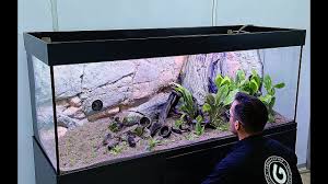 How To Aquascape A 150 Gal Amazon Sword Planted Tank Youtube