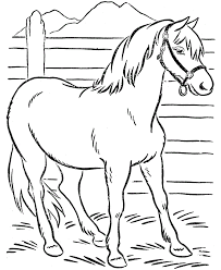 Includes images of baby animals, flowers, rain showers, and more. Pin On Fences