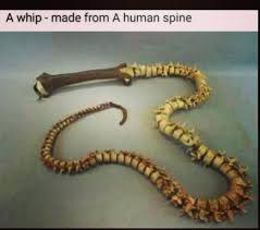 Pin On Oc Sauzeigshus Shucks