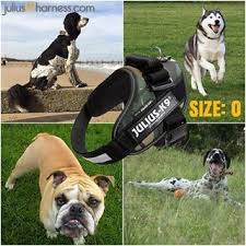 Julius K9 Harness Size 0