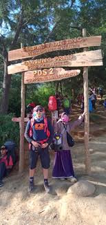 We did not find results for: Viral Kisah Cinta 2 Pendaki Yang Menikah Setelah Naik Ke Puncak Gunung Prau Kumparan Com