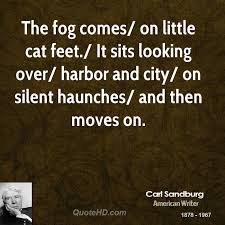 Funny Quotes About Fog. QuotesGram via Relatably.com