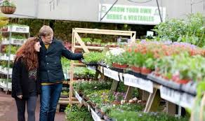 We also carry landscaping and garden supplies, from garden gloves and garden shears to rubber mulch and rain barrels that catch and conserve runoff. Garden Centres Are Garden Centres Still Open Express Co Uk