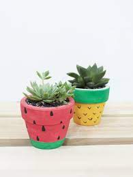 If all goes well fertilization choose a pot with drainage holes that is appropriate for the size of the broken cactus. 3 White Clay Pot Plant Pot Diy Plant Pot Diy Painted Pots Diy Succulent Pots Diy
