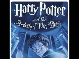 Harry Potter And The Audacity Of This Bitch Youtube
