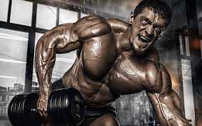 Bodybuilder 1080P, 2K, 4K, 5K HD wallpapers free download | Wallpaper Flare
